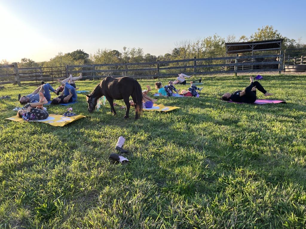 A wellness group relaxing on yoga mats while Sir Camelot grazes nearby