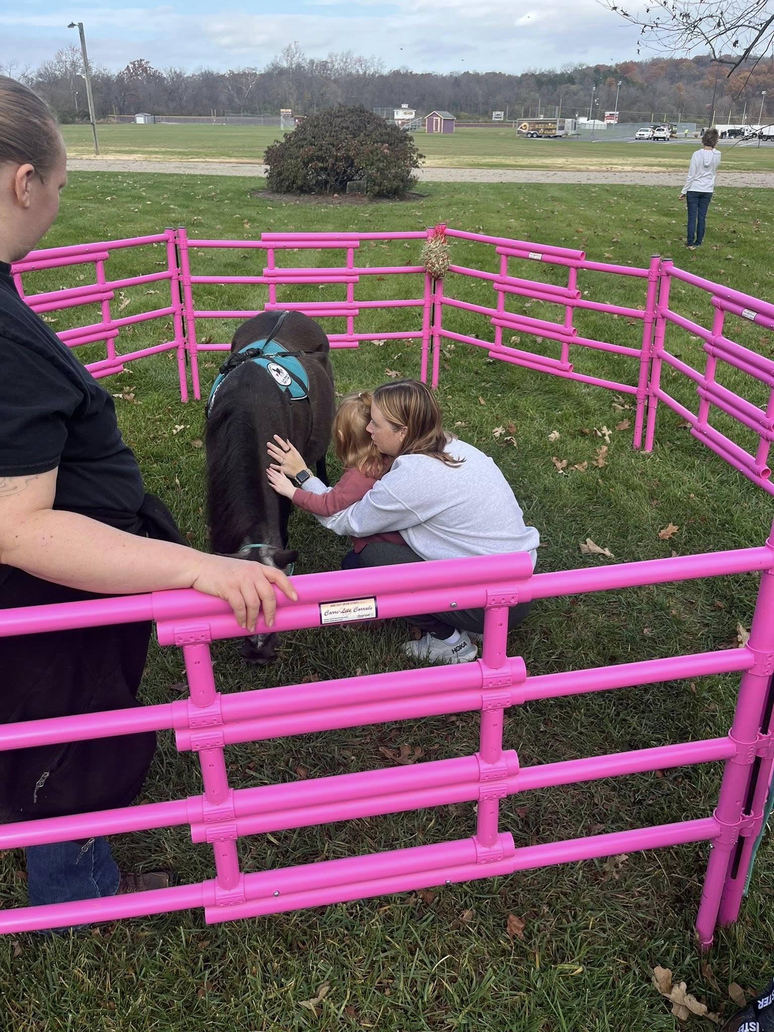 Kelsey guiding a family during a gentle interaction with Sir Camelot