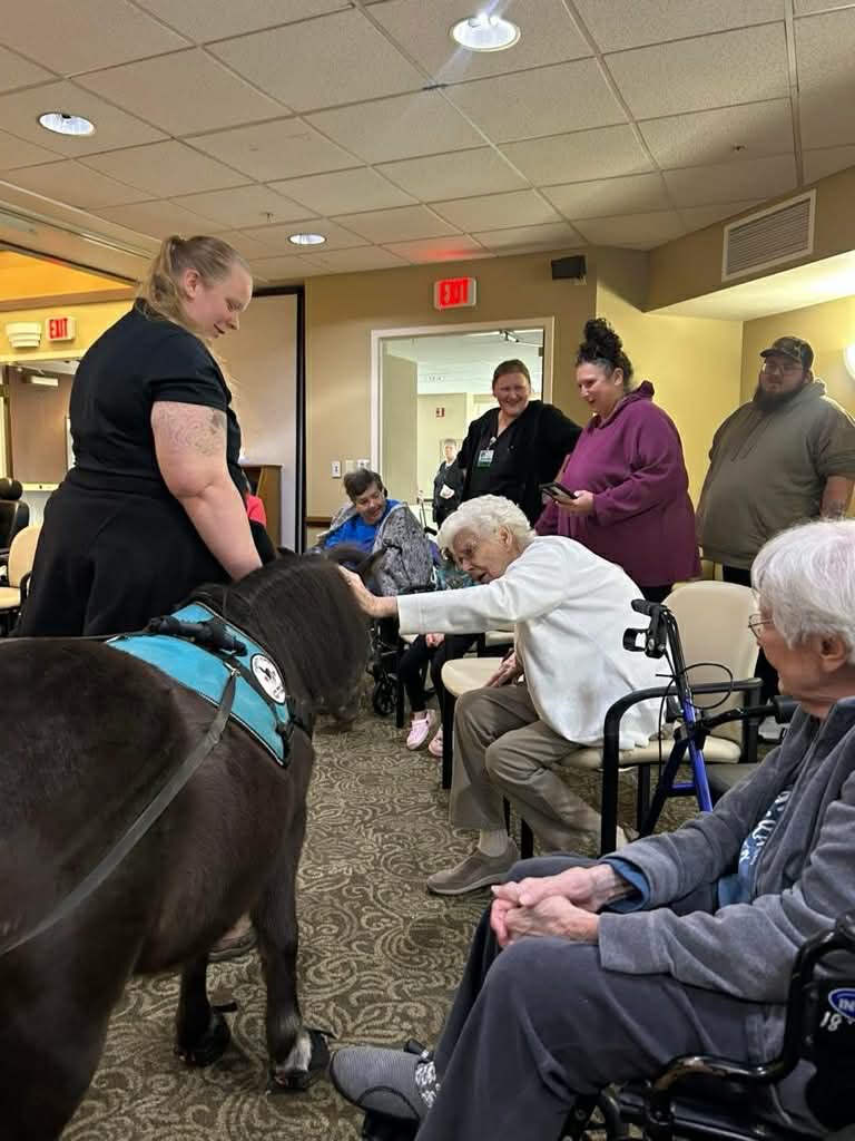 A senior living resident reaching out to greet Sir Camelot