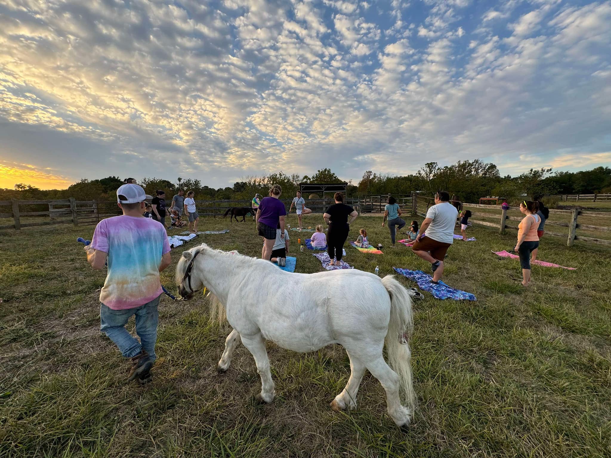 Mr. Moonie walking near an outdoor yoga gathering at sunset